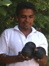 Janaka with cannonballs he chipped out of an iron concretion, Dec 01. Photo by Claire Barnes.